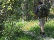 Pilgrimsleden i Mellerud